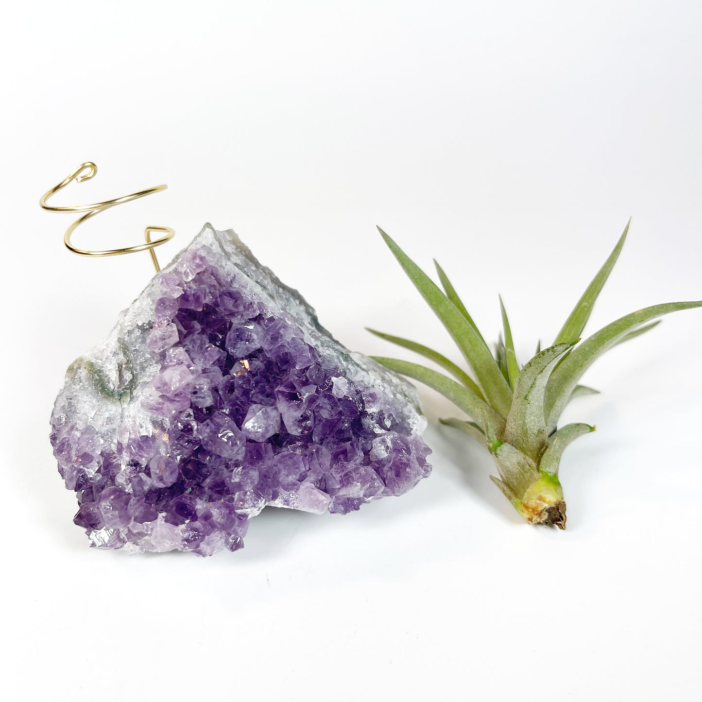 One-of-a-Kind Purple Amethyst Crystal Tillandsia Air Plant Holder - Zen Garden Desk Decor
