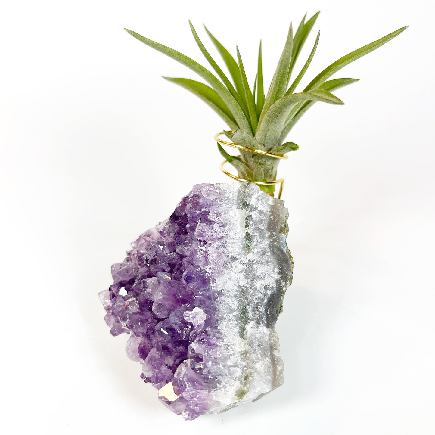One-of-a-Kind Purple Amethyst Crystal Tillandsia Air Plant Holder - Zen Garden Desk Decor