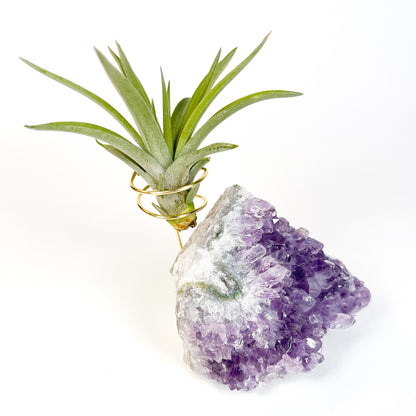 One-of-a-Kind Purple Amethyst Crystal Tillandsia Air Plant Holder - Zen Garden Desk Decor