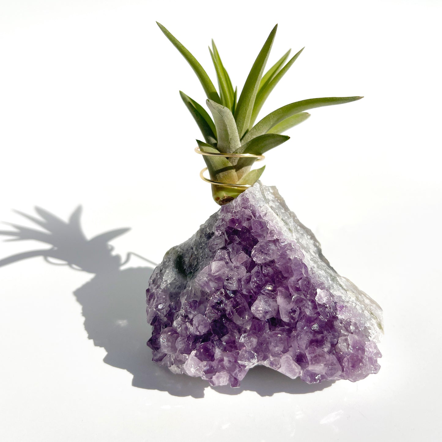 One-of-a-Kind Purple Amethyst Crystal Tillandsia Air Plant Holder - Zen Garden Desk Decor