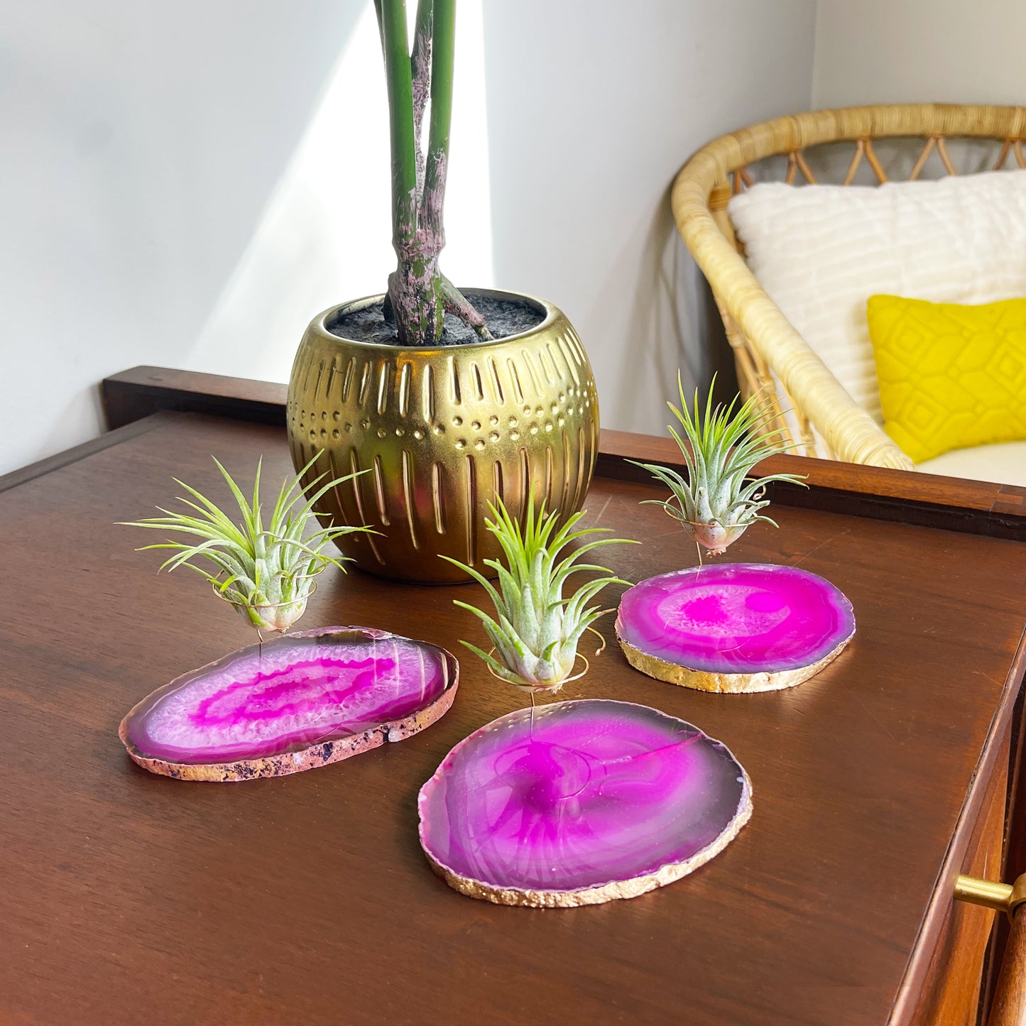 Pink Agate Crystal Air Plant Holder