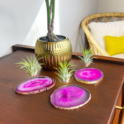 Pink Agate Crystal Air Plant Holder