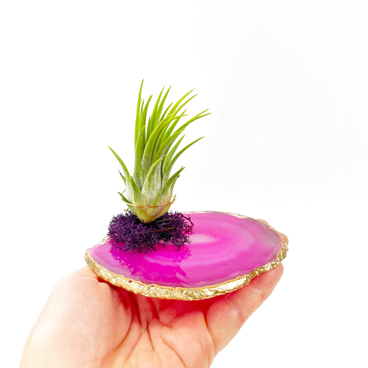Father's Day Gift — Large Pink Agate Crystal with Purple Moss Detail Air Plant Holder