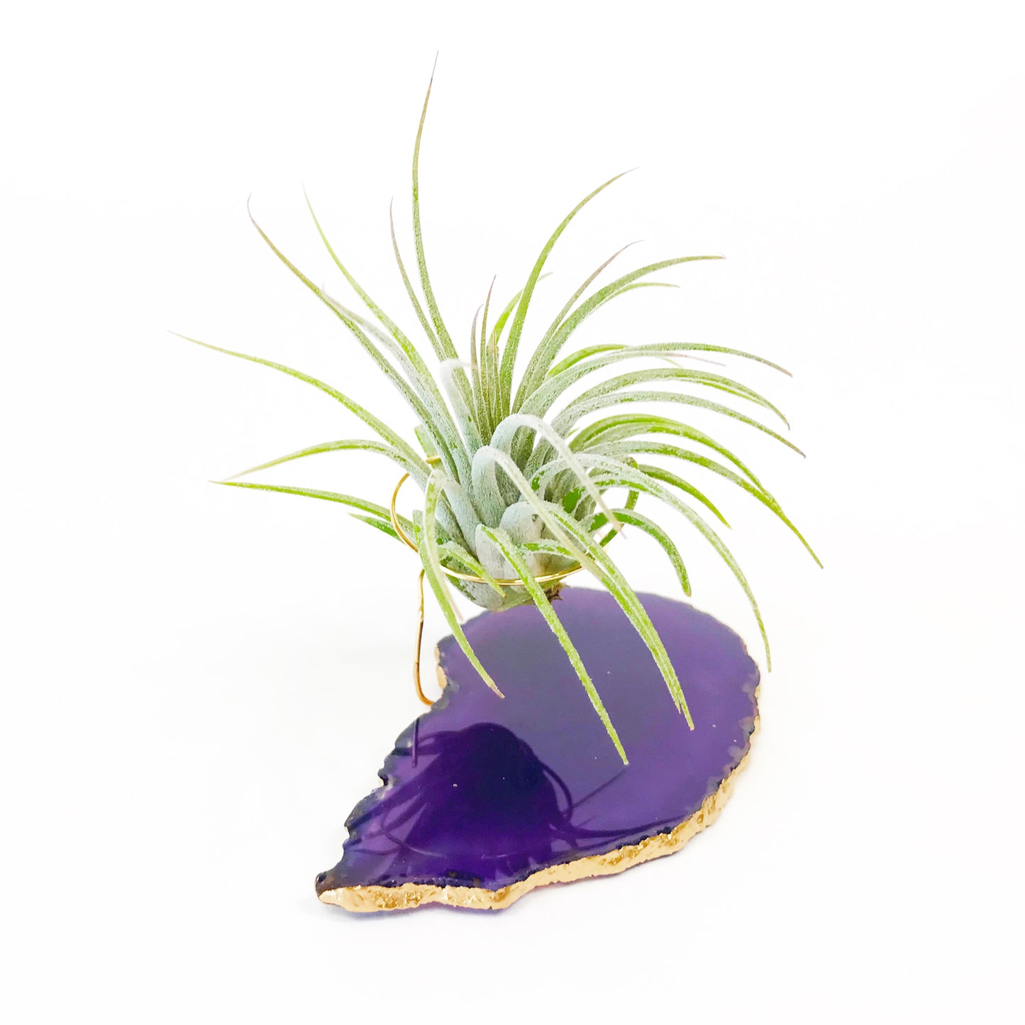 Purple Agate Crystal Air Plant Holder