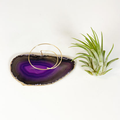 Purple Agate Slice Crystal Air Plant Holder - Tillandsia Ionantha Guatemala Plant and Gift Box Included