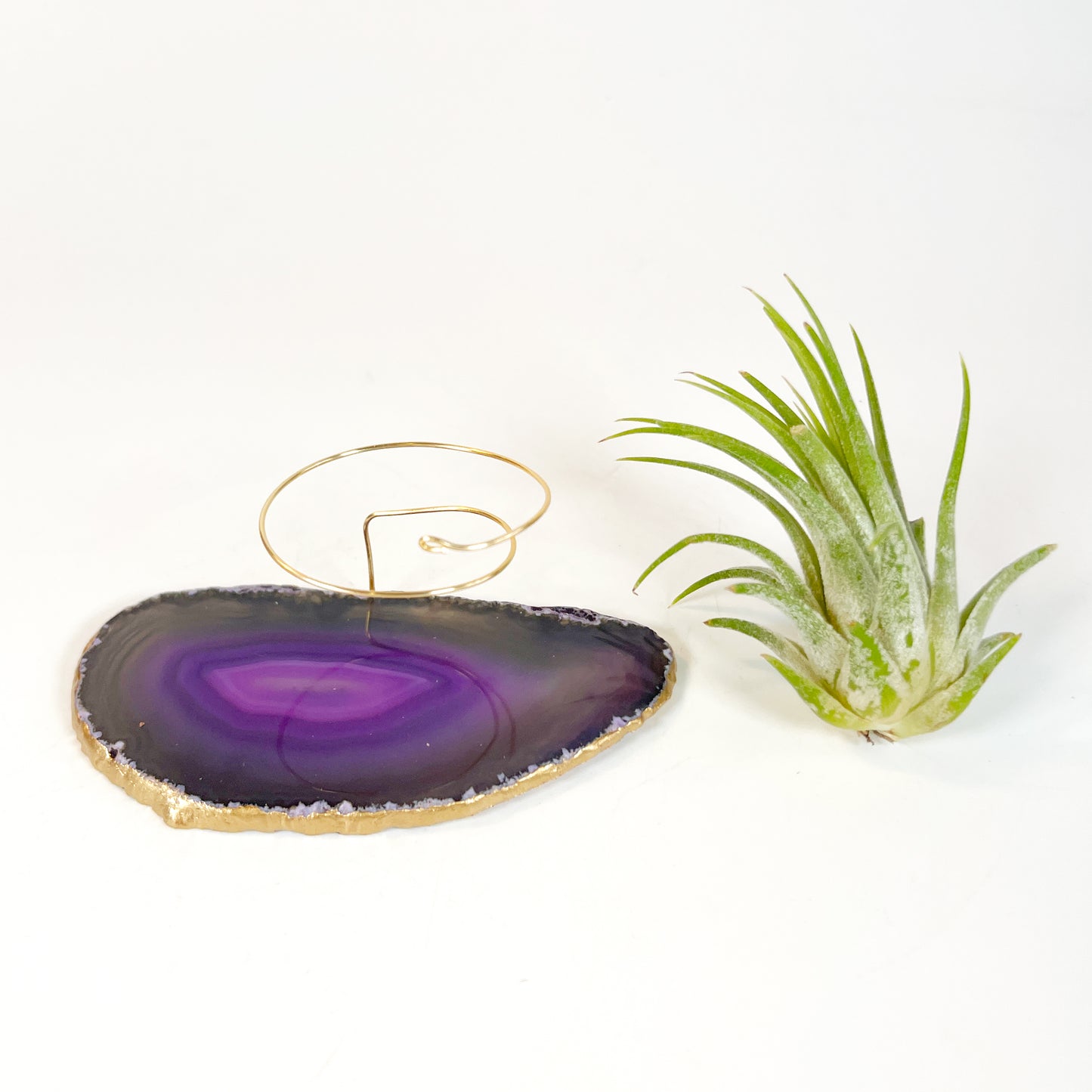 Purple Agate Slice Crystal Air Plant Holder - Tillandsia Ionantha Guatemala Plant and Gift Box Included