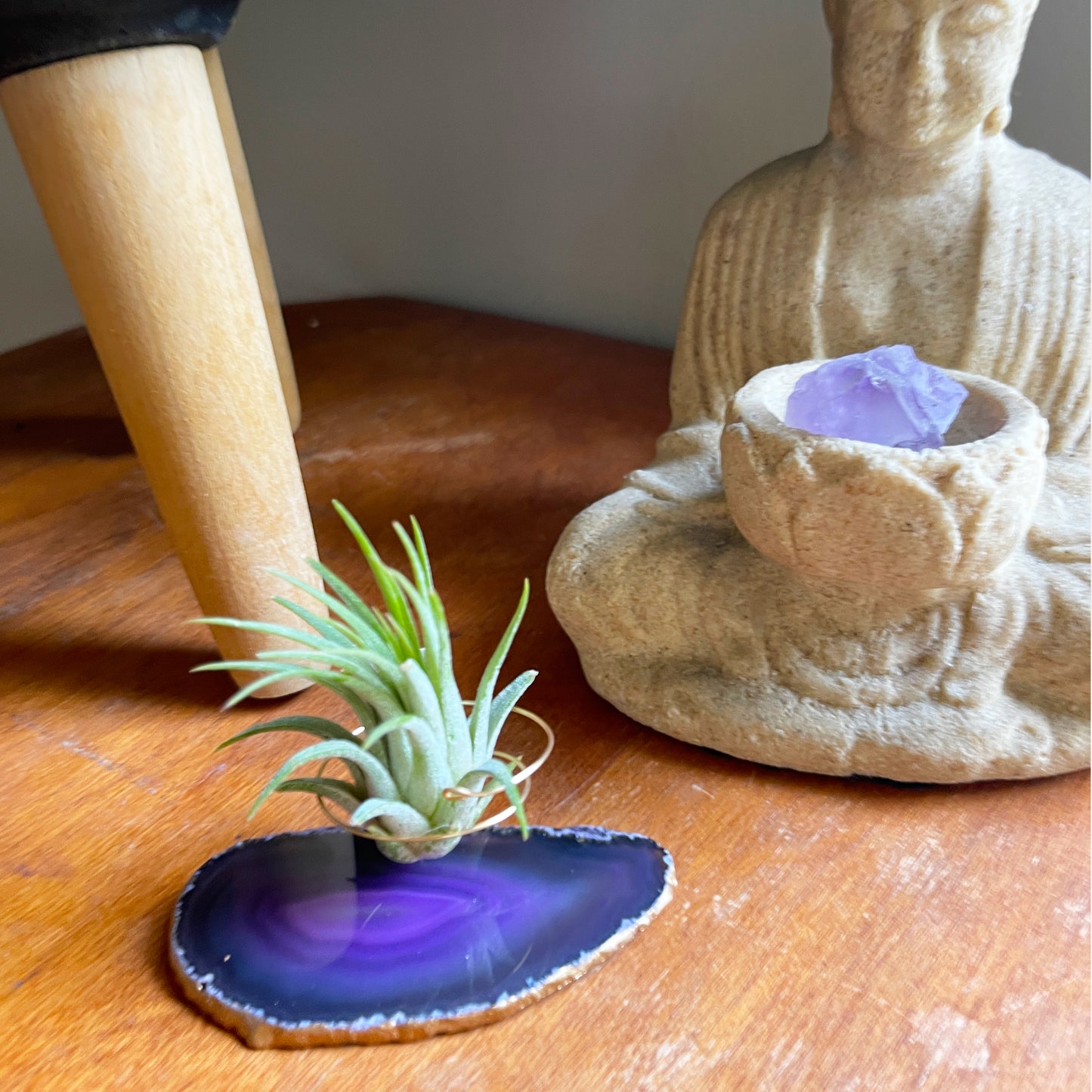 Purple Agate Slice Crystal Air Plant Holder - Tillandsia Ionantha Guatemala Plant and Gift Box Included