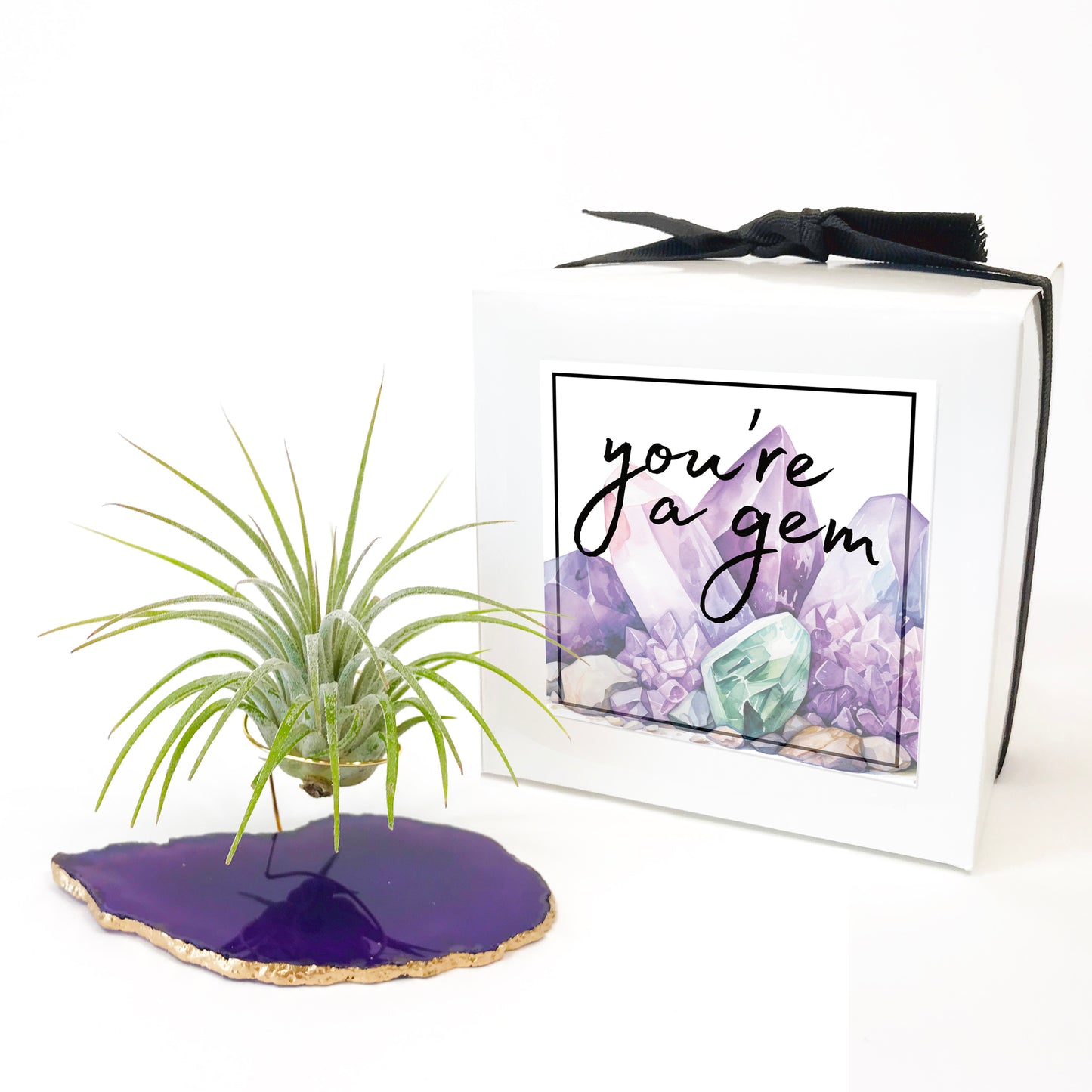 Purple Agate Crystal Air Plant Holder