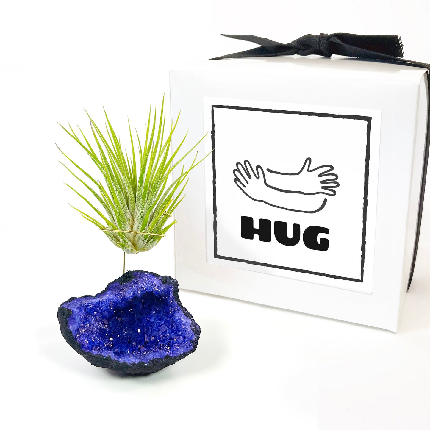 Purple Geode Air Plant Holder