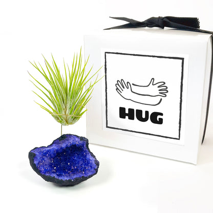 Purple Geode Air Plant Holder