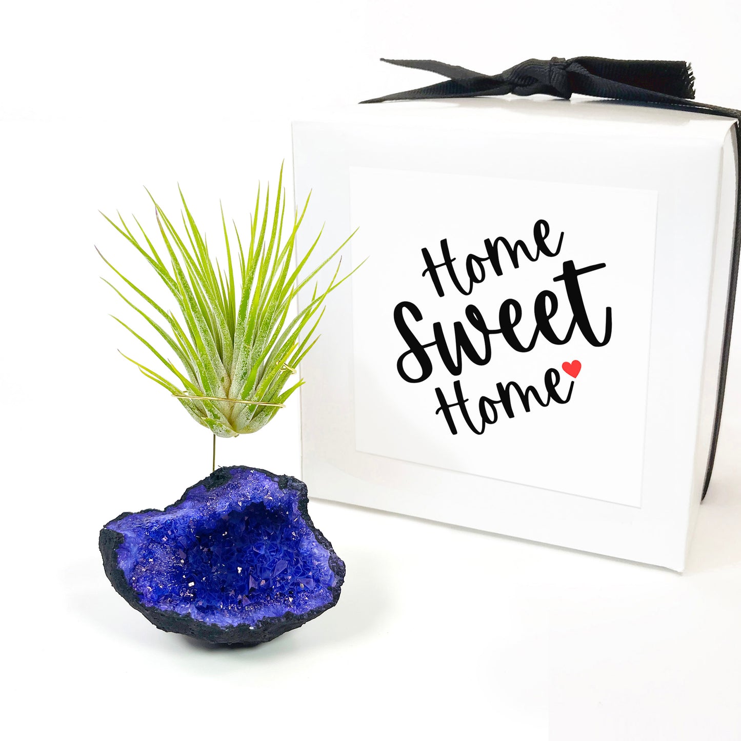 Purple Geode Air Plant Holder