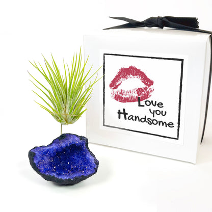 Purple Geode Air Plant Holder