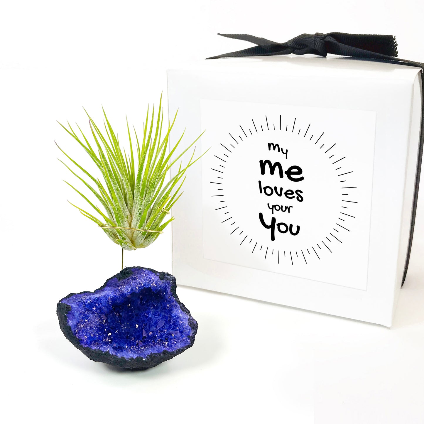 Purple Geode Air Plant Holder