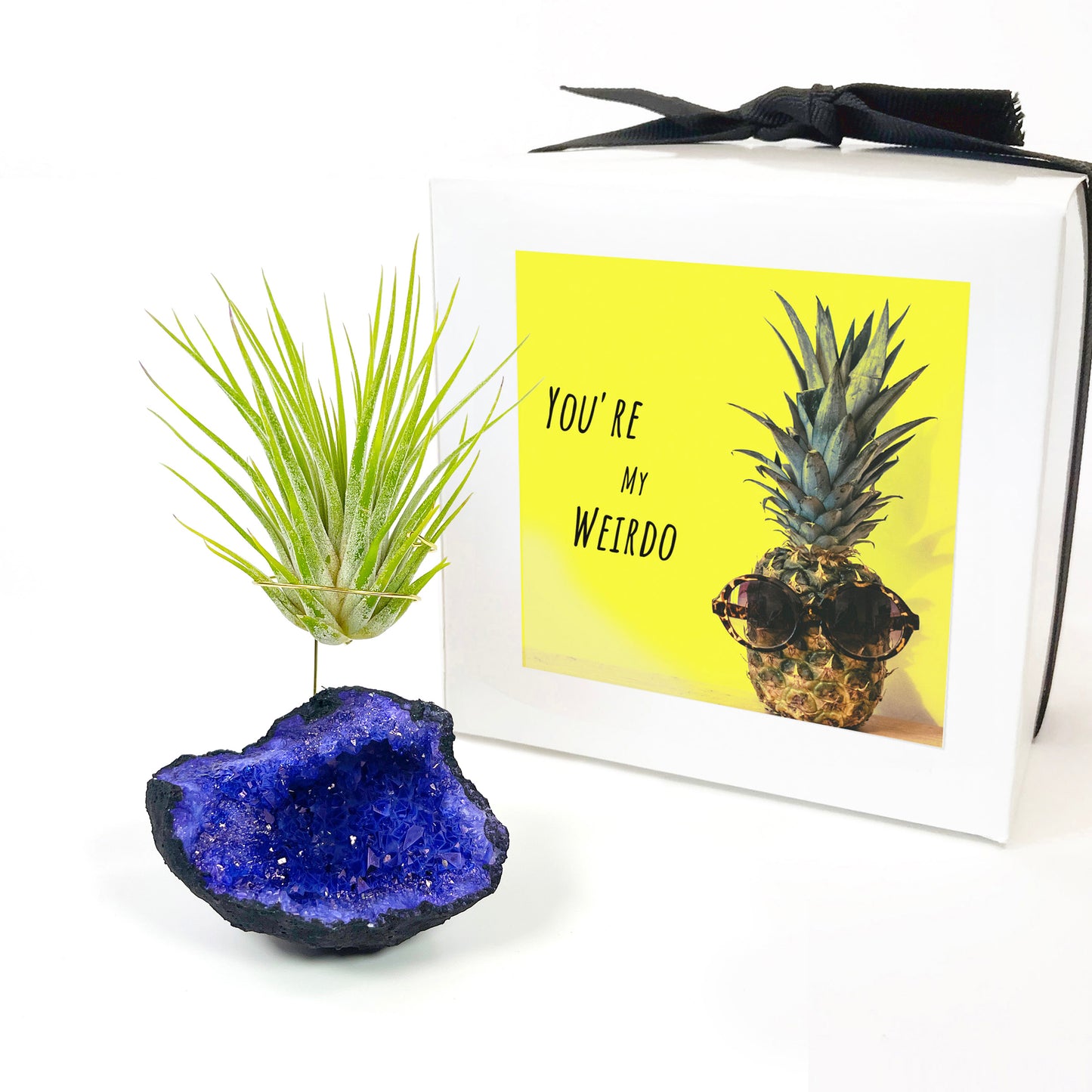 Purple Geode Air Plant Holder