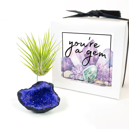 Purple Geode Air Plant Holder