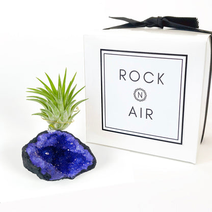 geode air plant Purple Geode Air Plant Holder
