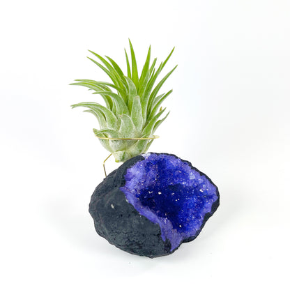 Purple Geode Air Plant Holder