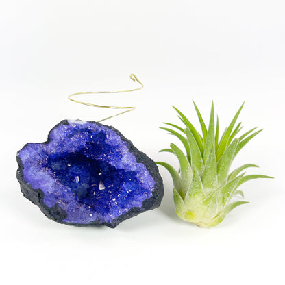 Purple Geode Air Plant Holder