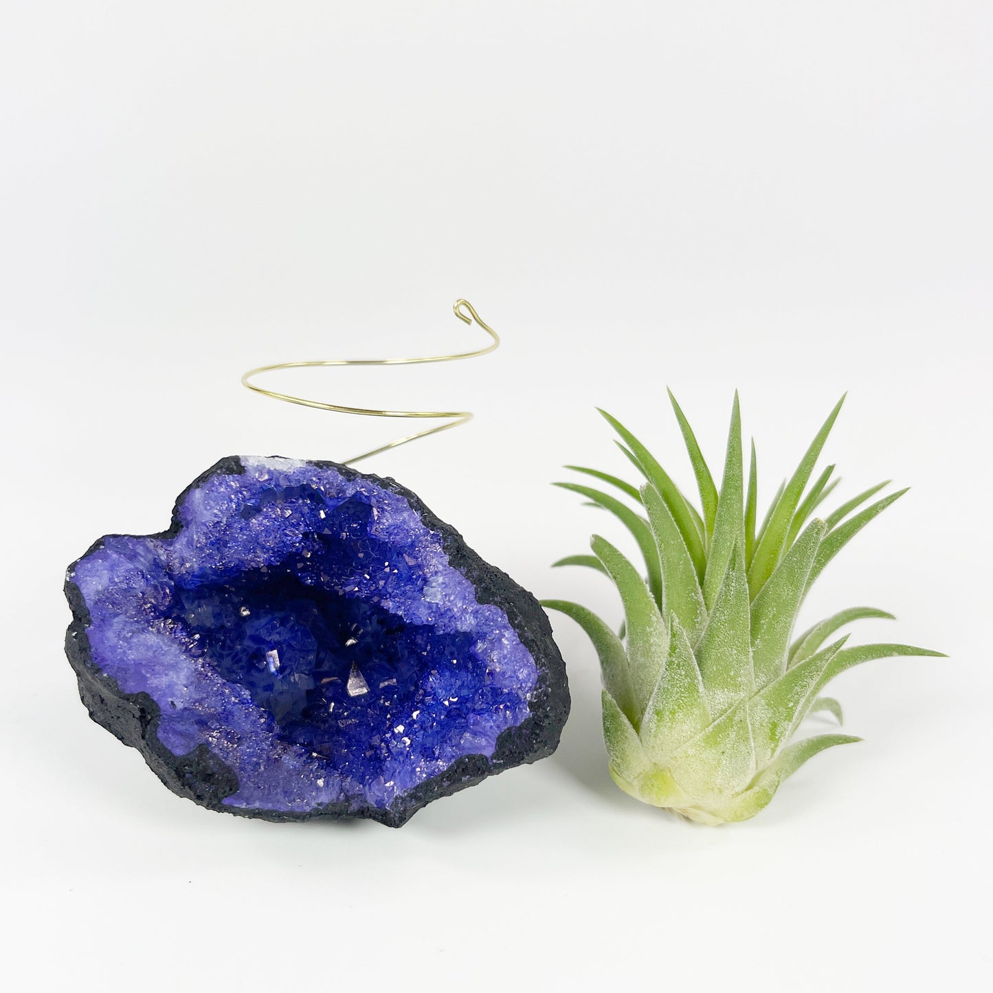 Purple Geode Air Plant Holder