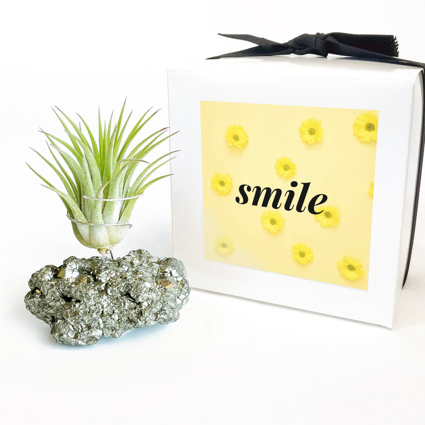 Thank You Gift - Small Pyrite Air Planter