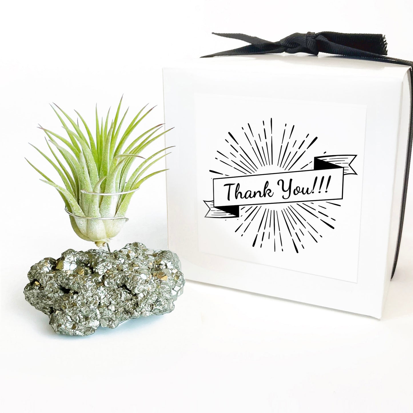 Thank You Gift - Small Pyrite Air Planter