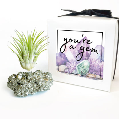 Thank You Gift - Small Pyrite Air Planter