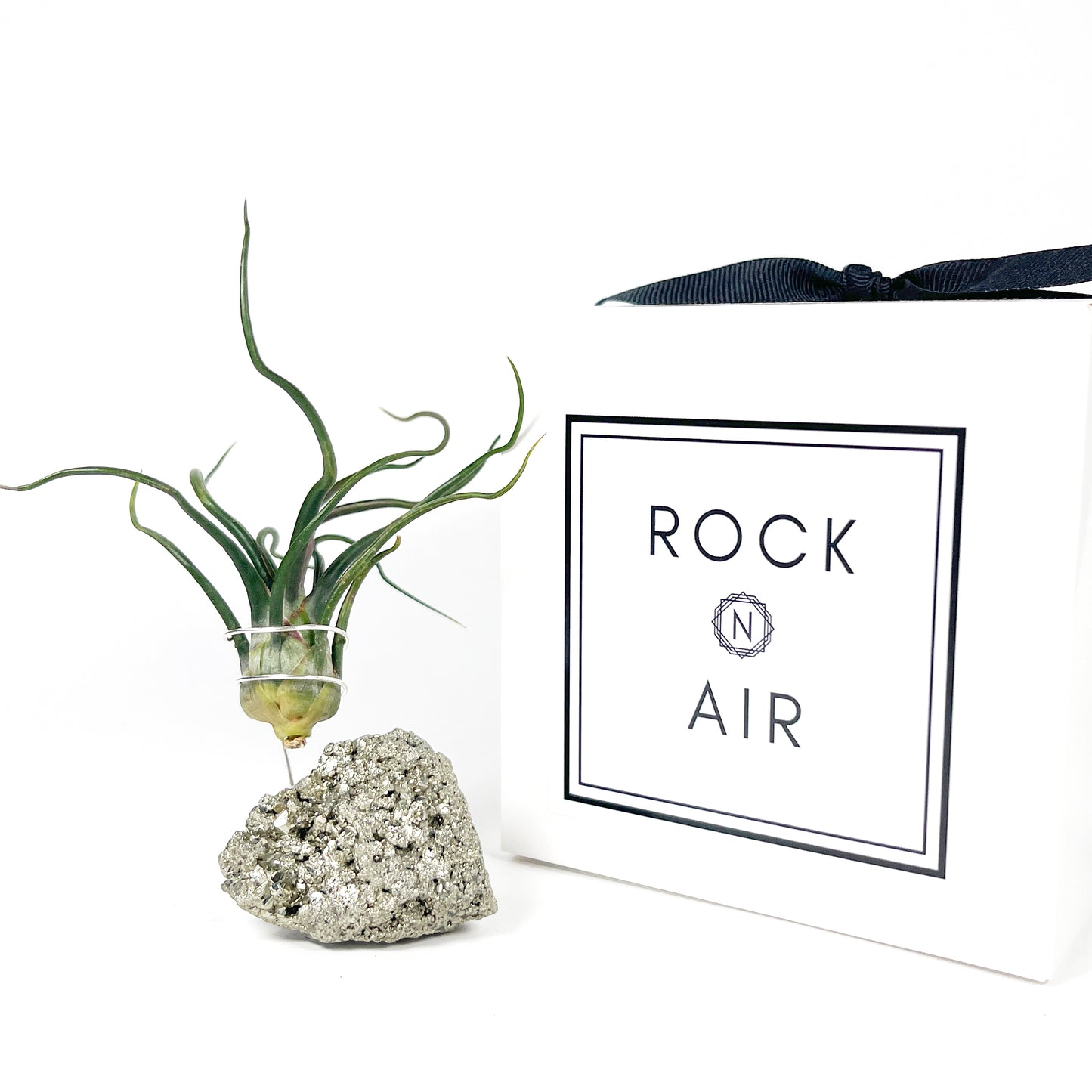 Sculptural Pyrite Air Plant Stand with Tillandsia, Gift Box, Plant Care Guide & Crystal Meaning Card