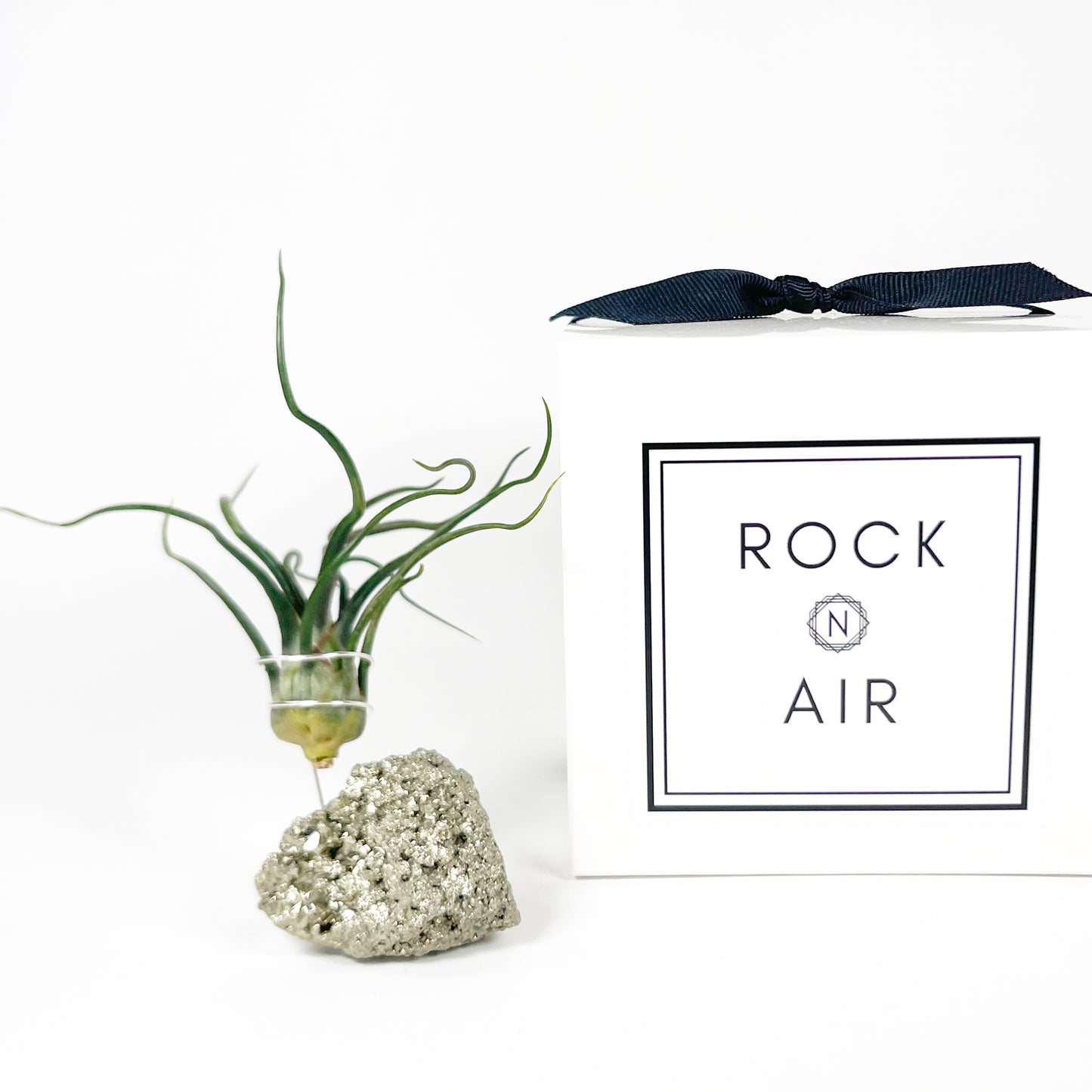 Sculptural Pyrite Air Plant Stand with Tillandsia, Gift Box, Plant Care Guide & Crystal Meaning Card