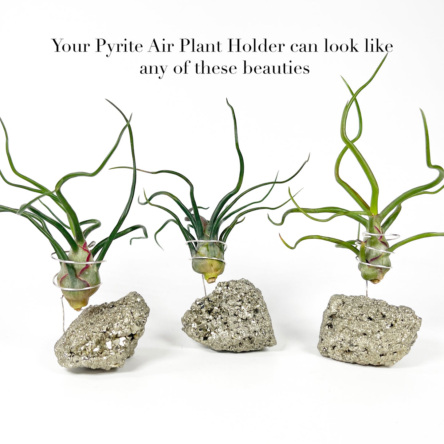 Sculptural Pyrite Air Plant Stand with Tillandsia, Gift Box, Plant Care Guide & Crystal Meaning Card