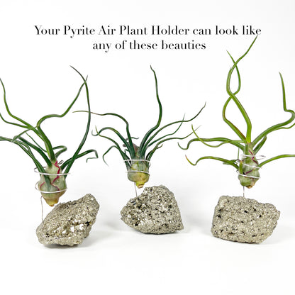 Sculptural Pyrite Air Plant Stand with Tillandsia, Gift Box, Plant Care Guide & Crystal Meaning Card