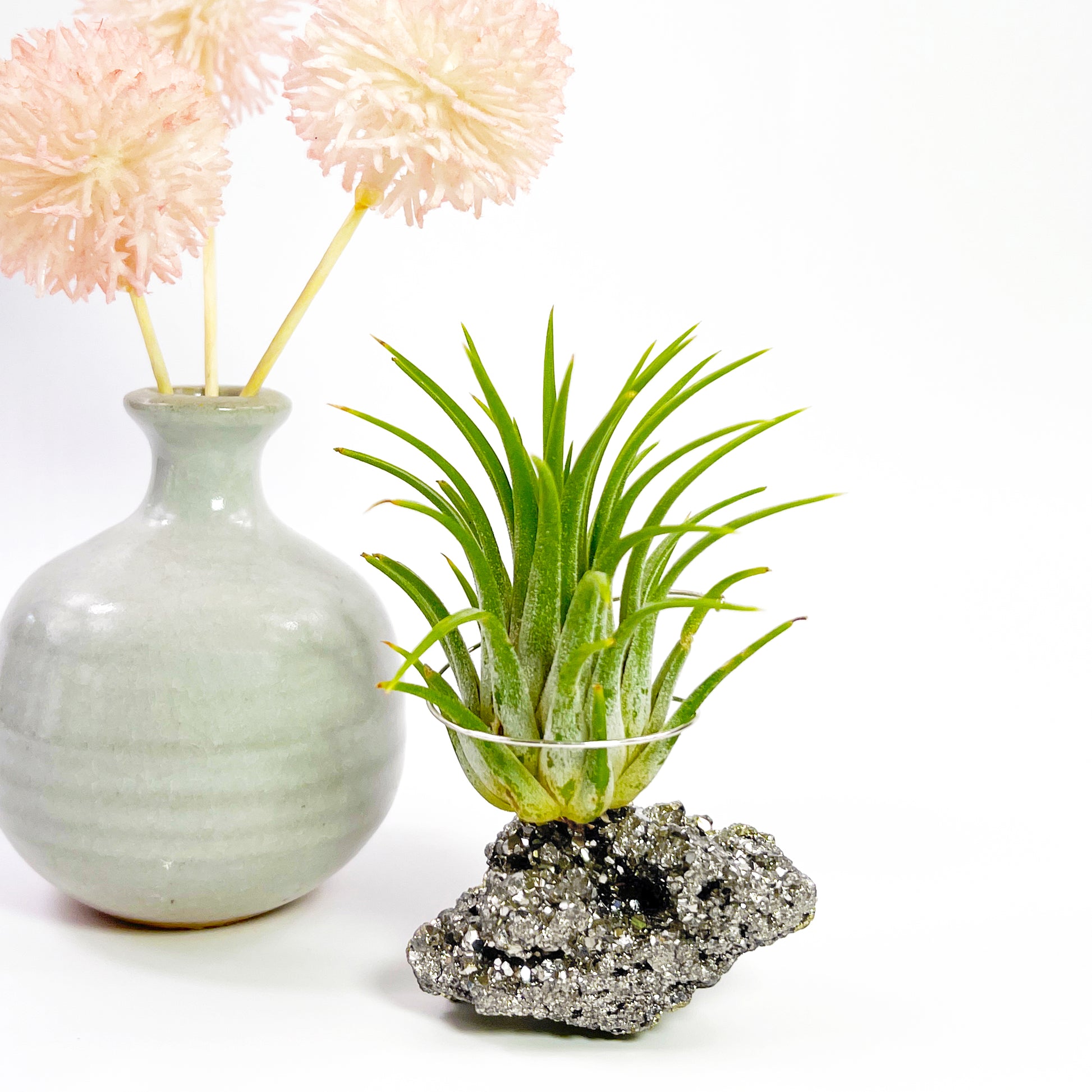 small air plant holder Small Pyrite Air Plant Holder – Rock n Air Studio