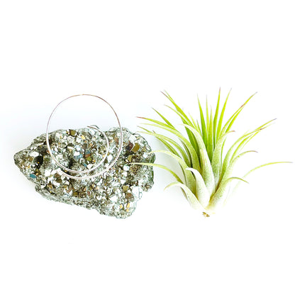 Mother's Day Gift — Small Pyrite Air Plant Holder