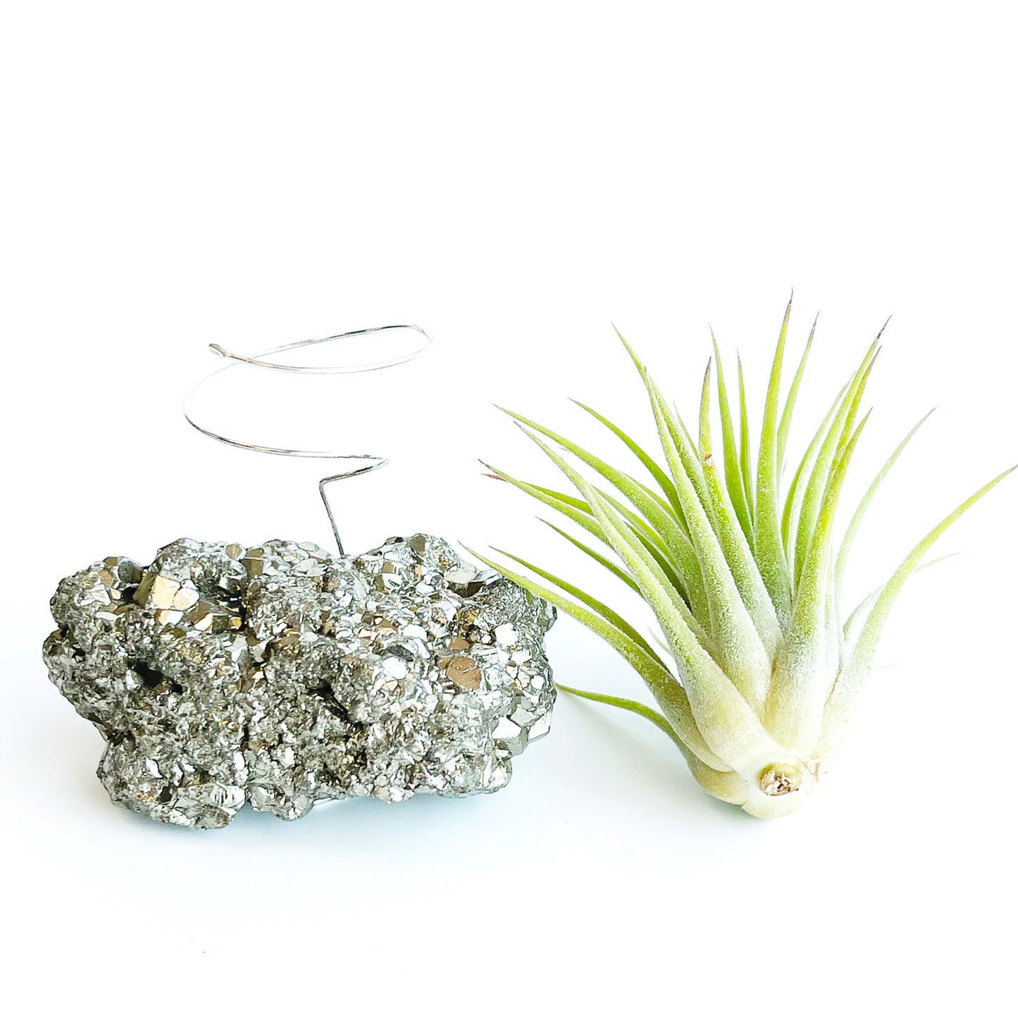 Mother's Day Gift — Small Pyrite Air Plant Holder