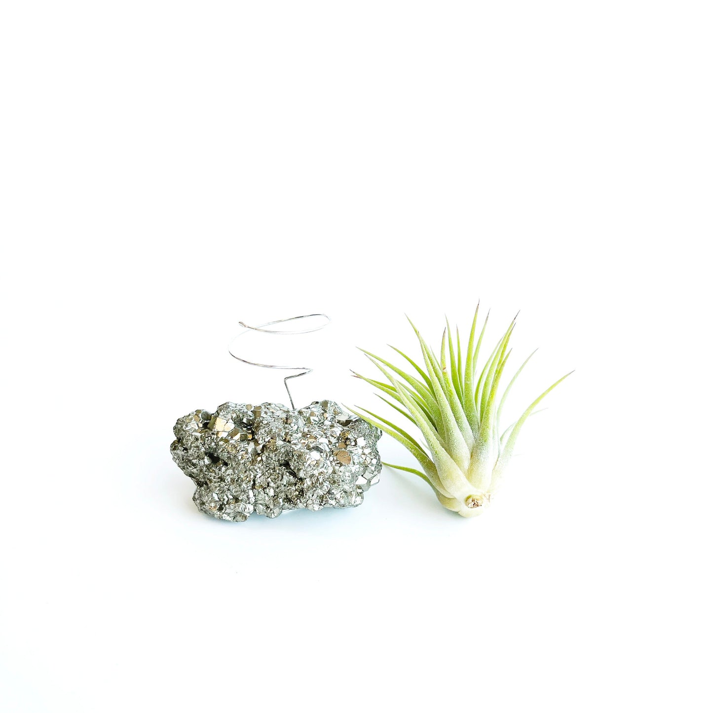 Thank You Gift - Small Pyrite Air Planter