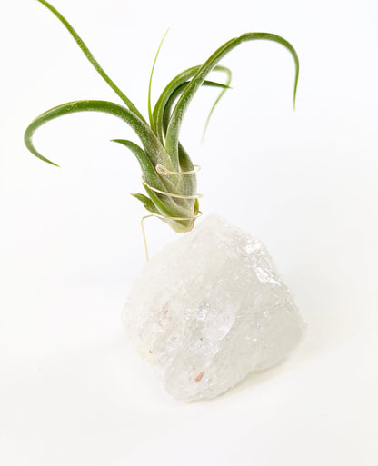 Unique Birthday Day Gift —  Clear Quartz Crystal Air Plant Holder