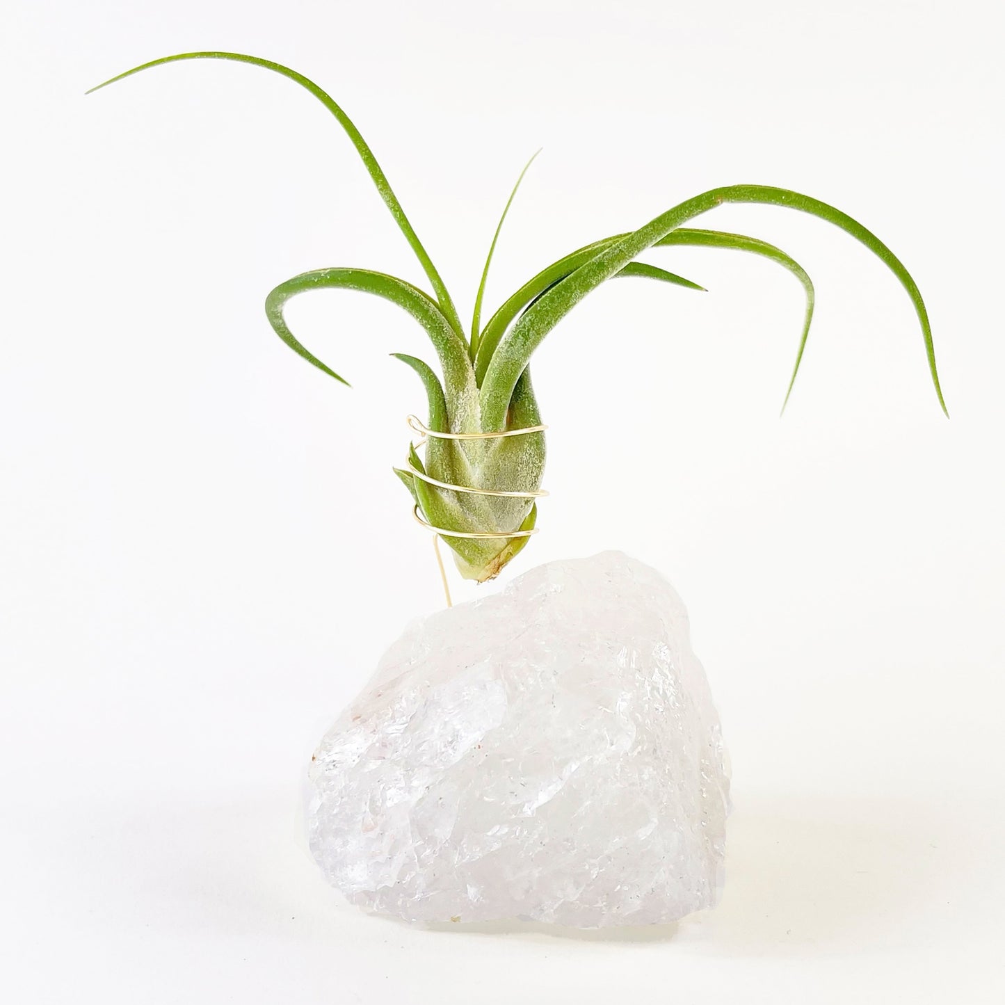 Unique Birthday Day Gift —  Clear Quartz Crystal Air Plant Holder