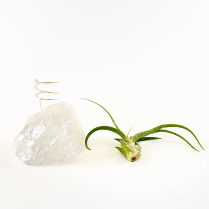 Unique Birthday Day Gift —  Clear Quartz Crystal Air Plant Holder