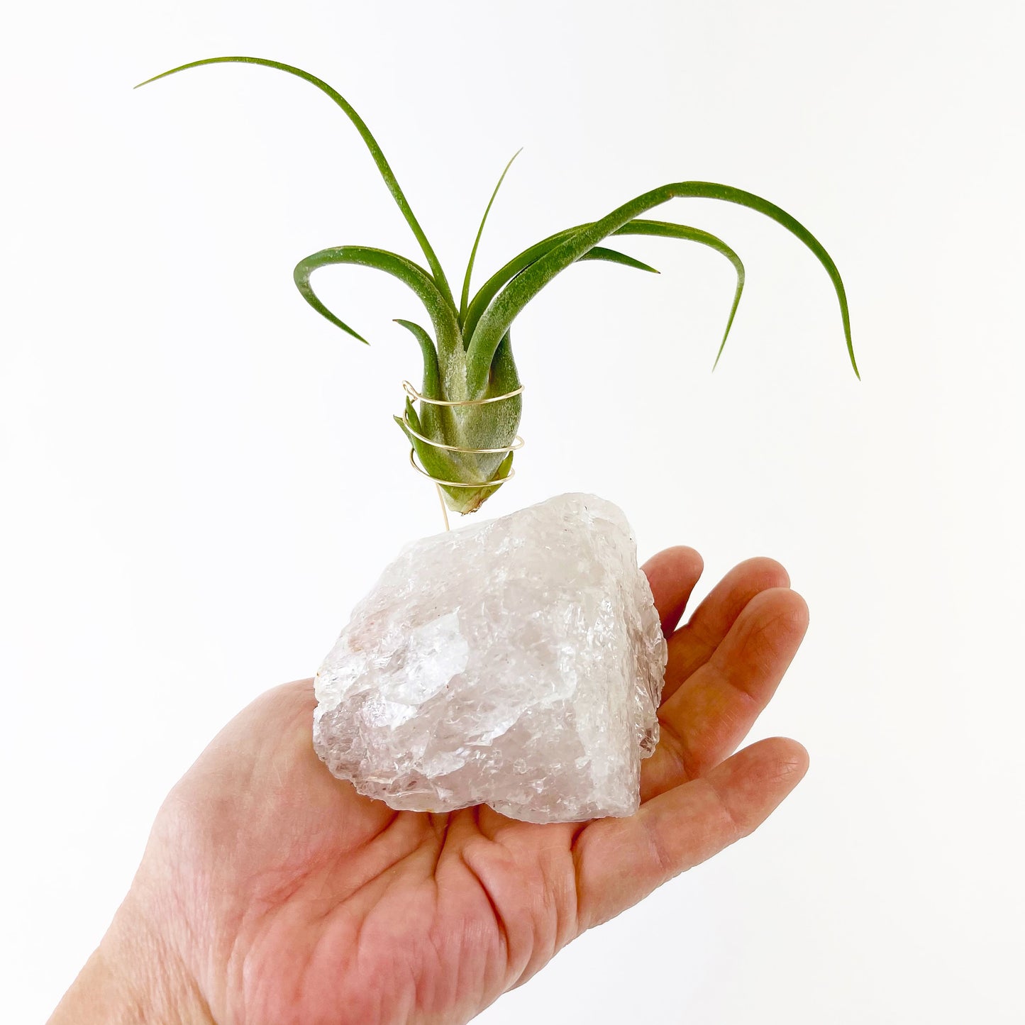 Unique Birthday Day Gift —  Clear Quartz Crystal Air Plant Holder