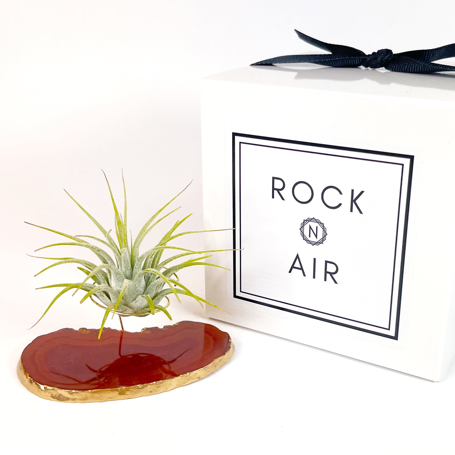 Red Agate Slice Crystal Air Plant Holder - Tillandsia Ionantha Guatemala Plant and Gift Box Included (Copy)