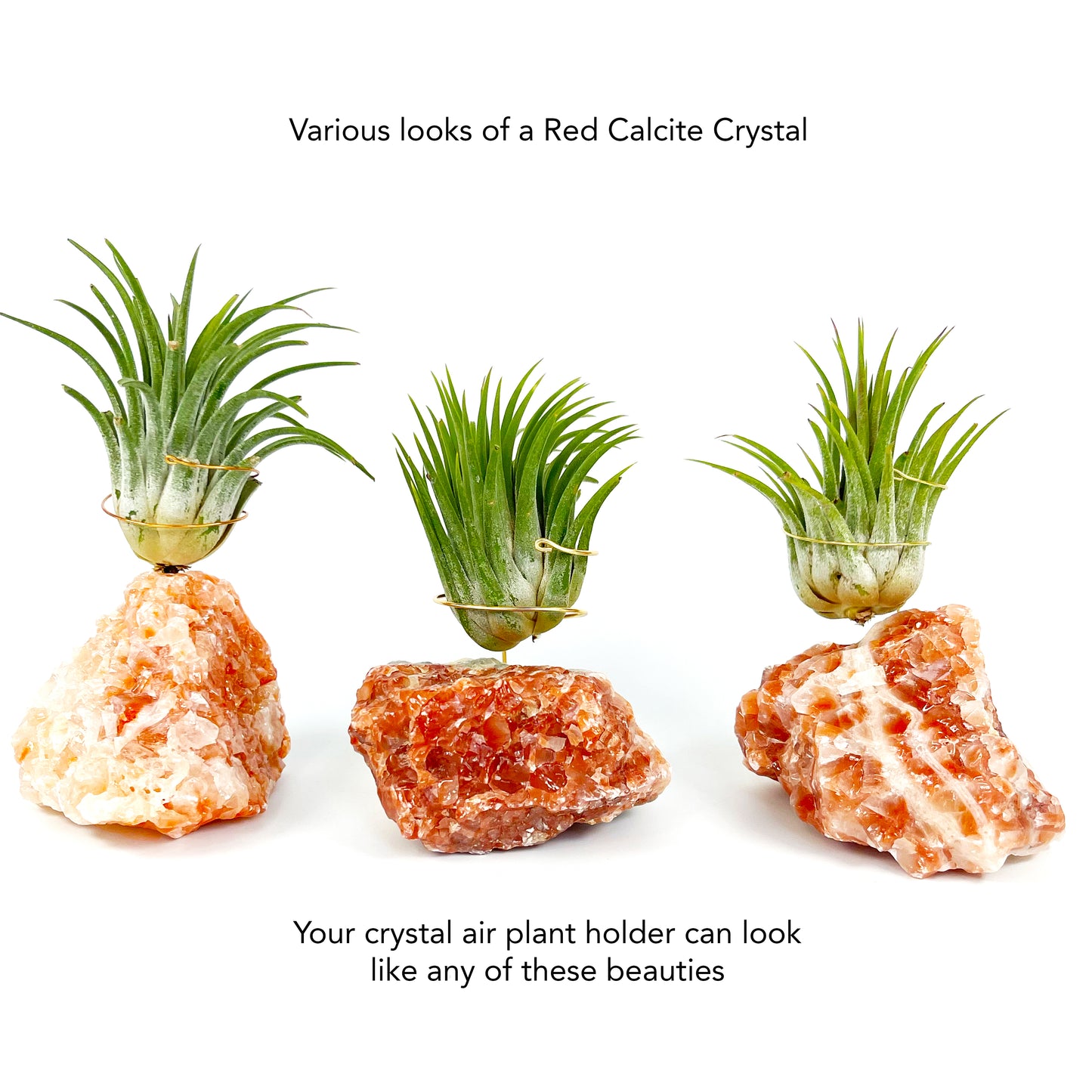 Red Calcite Crystal Air Plant Holder (includes Air Plant and Merry Merry Christmas Gift Box)