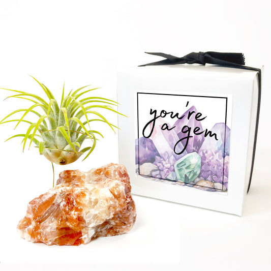 Thank You Gift - Red Calcite Air Planter