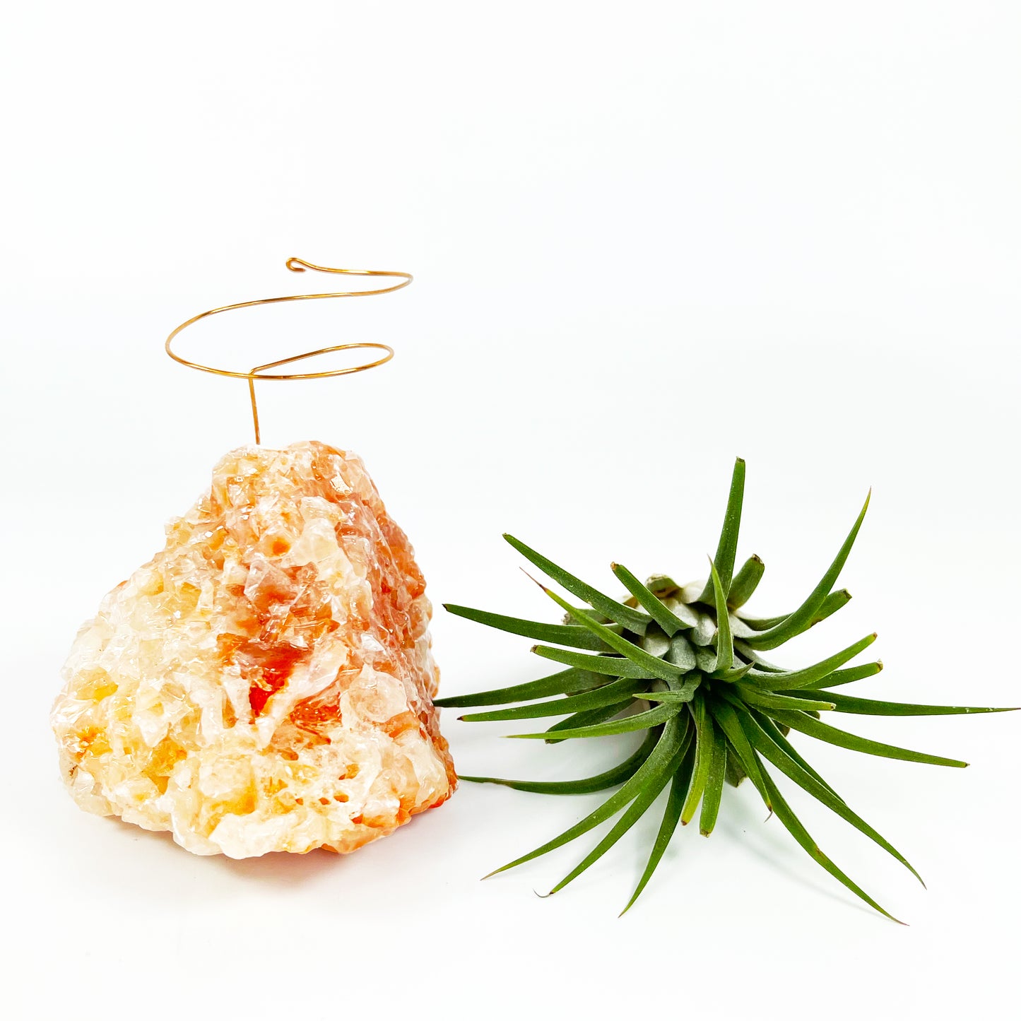 Red Calcite Crystal Air Plant Holder (includes Air Plant and Merry Merry Christmas Gift Box)