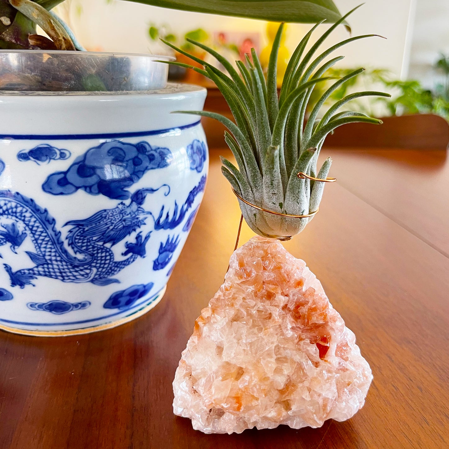 Red Calcite Crystal Air Plant Holder (includes Air Plant and Merry Merry Christmas Gift Box)