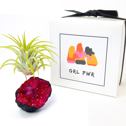 Red Geode Air Plant Holder