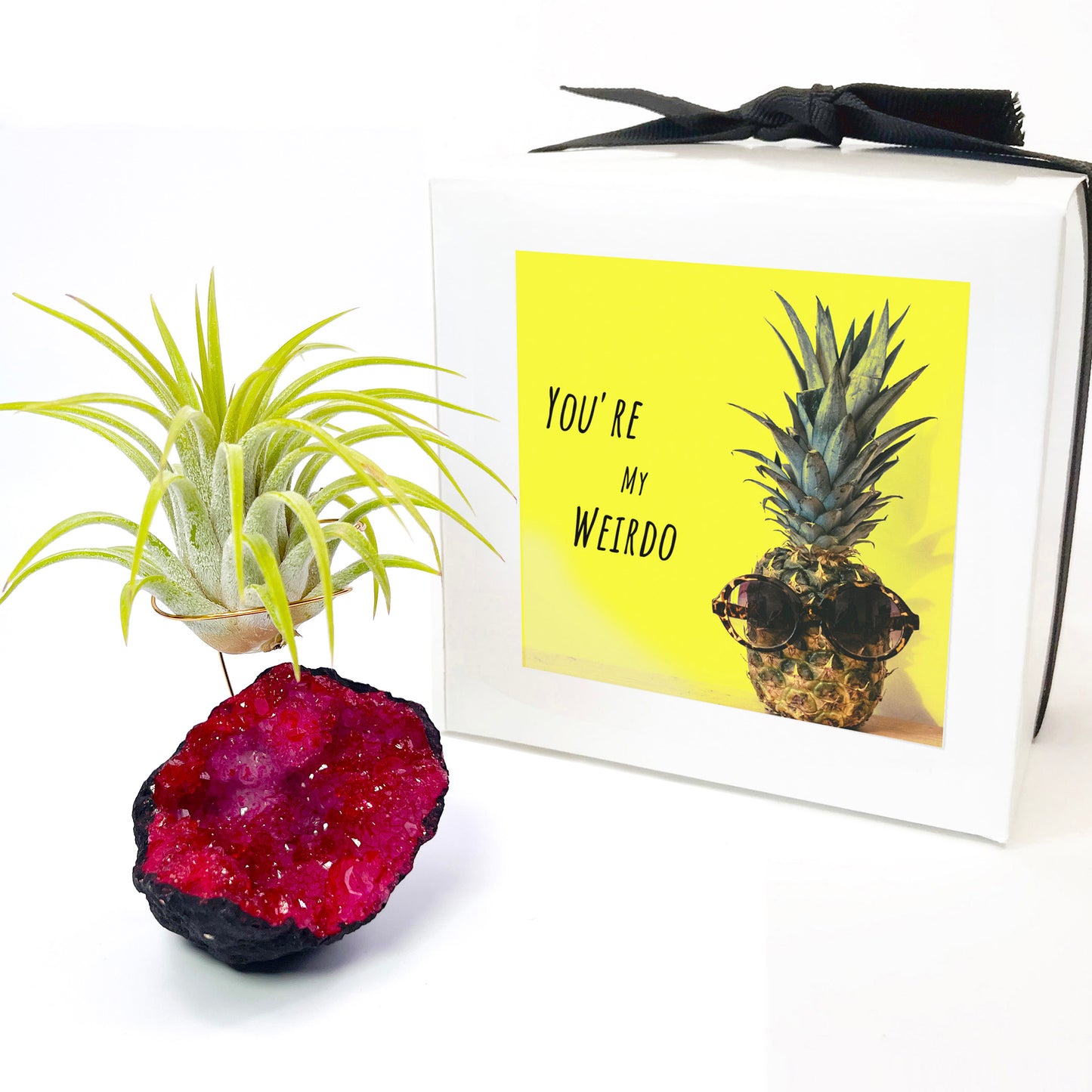 Red Geode Air Plant Holder