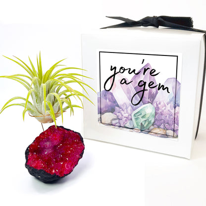 Red Geode Air Plant Holder