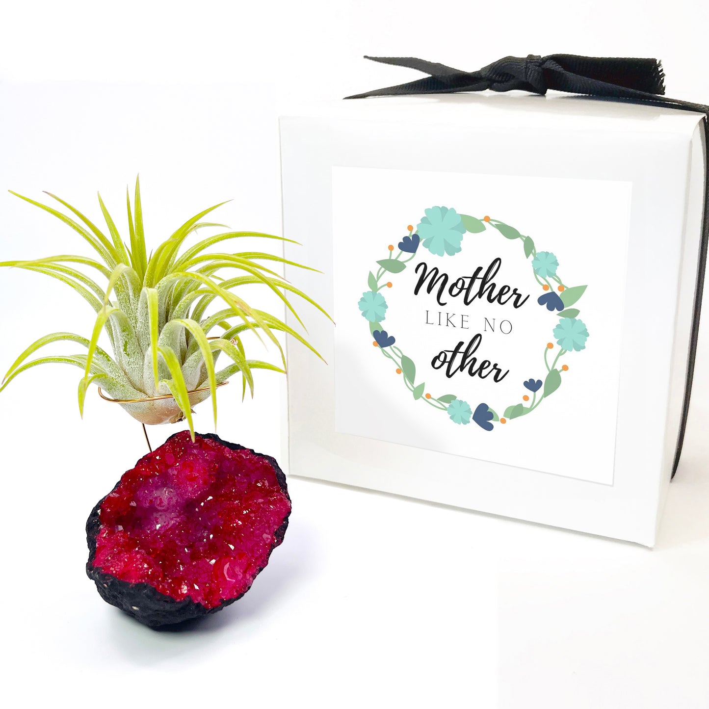 Red Geode Air Plant Holder