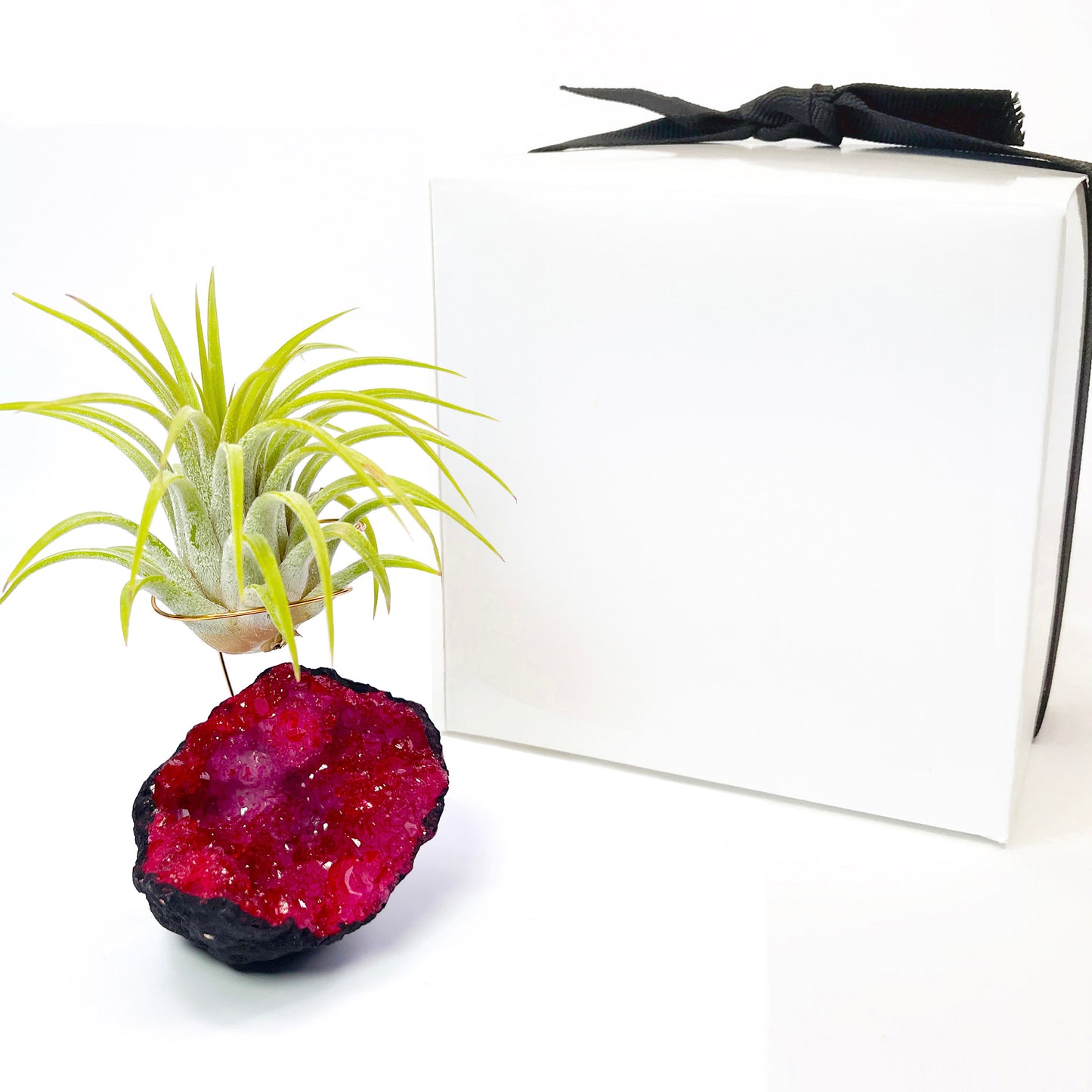 Red Geode Air Plant Holder