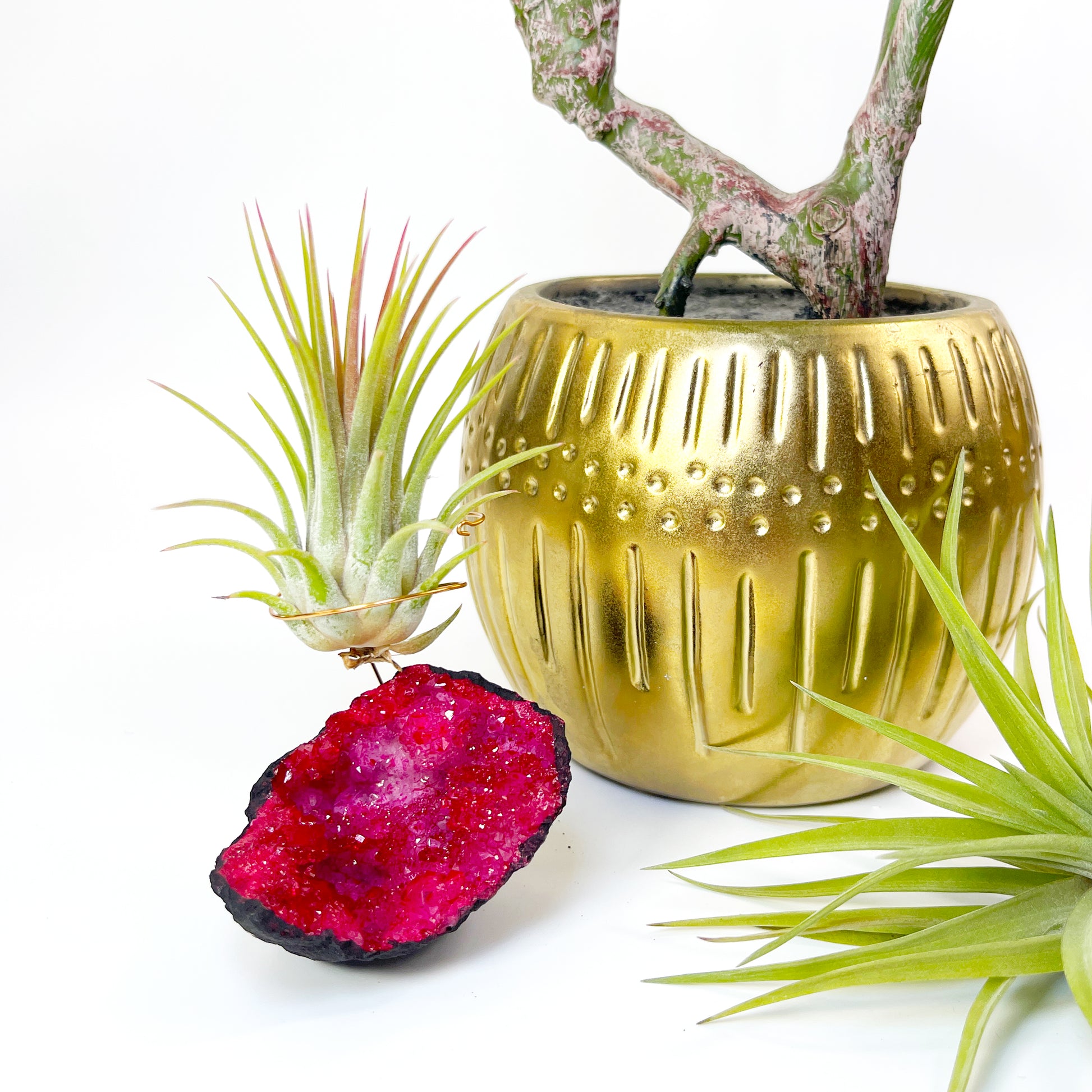 geode air plant holder Red Geode Air Plant Holder – Rock n Air Studio
