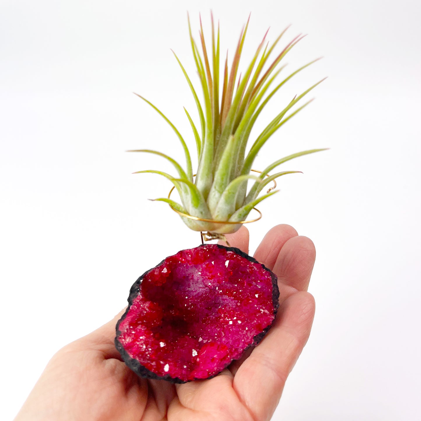 Red Geode Air Plant Holder